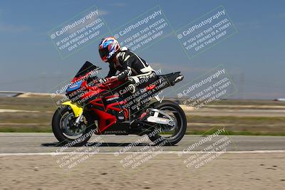 media/Mar-24-2025-2WTD (Mon) [[55b4b08488]]/B Group/1220pm (Wheelie Bump)/